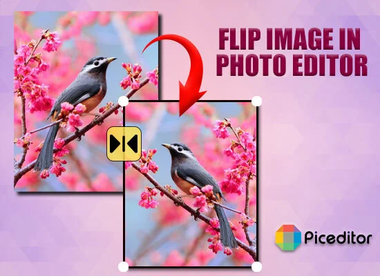 flip image online